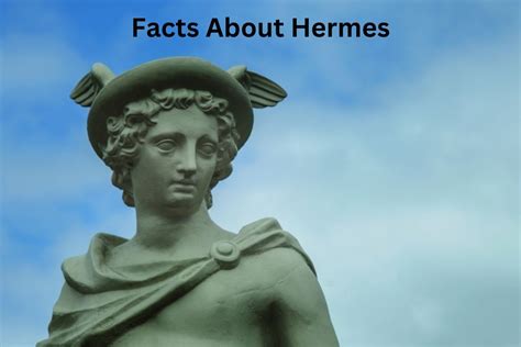 hermes concurrents|Hermes industry facts.